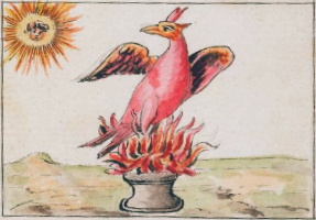 Phoenix